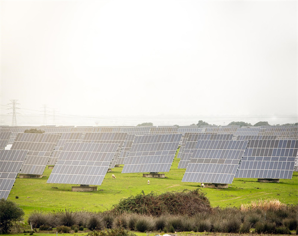 【遼寧存量項目】繼續執行0.3749元每度，增容部分項目按增量政策執行！